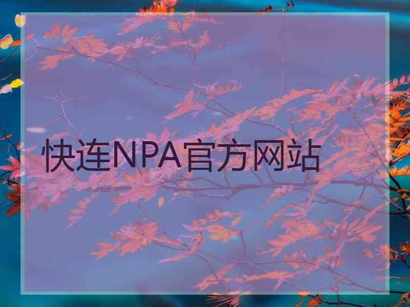 快连NPA官方网站