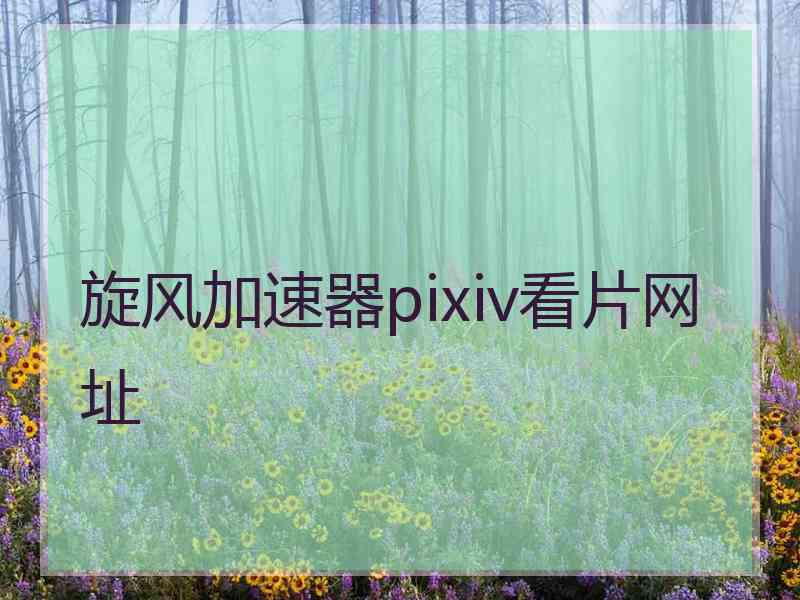 旋风加速器pixiv看片网址