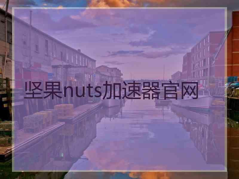 坚果nuts加速器官网