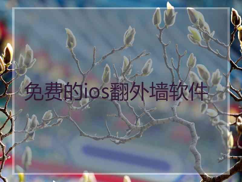 免费的ios翻外墙软件