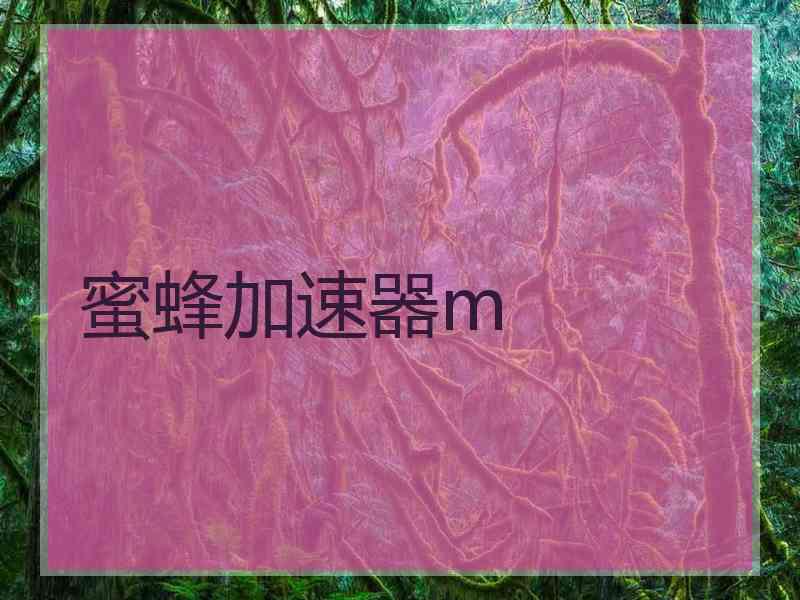 蜜蜂加速器m