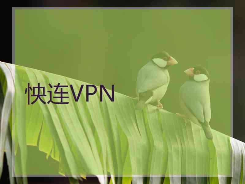 怏连VPN