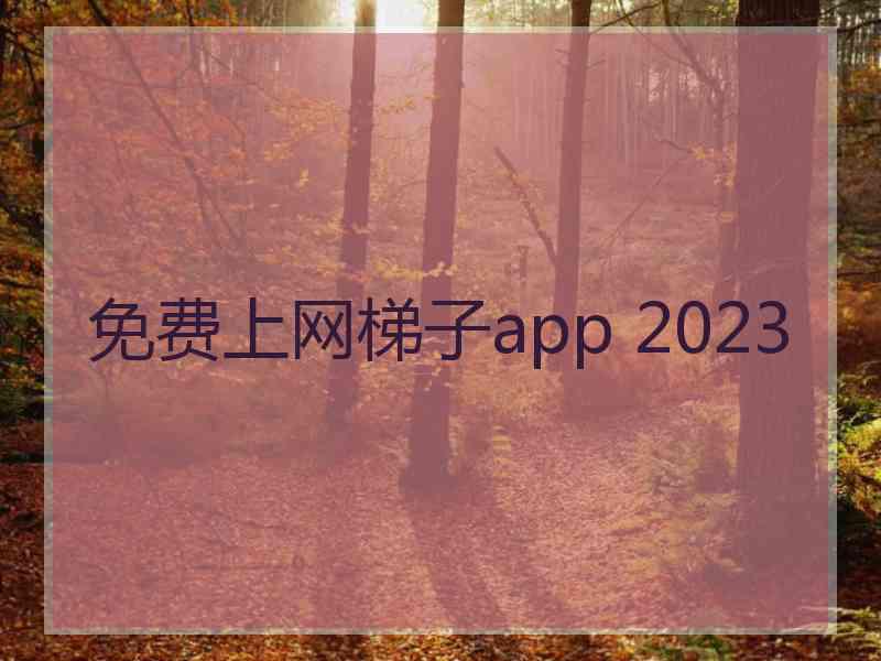 免费上网梯子app 2023