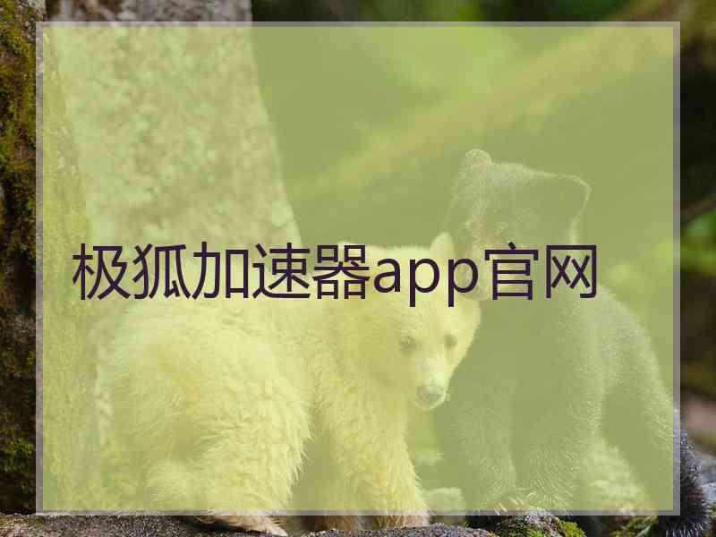 极狐加速器app官网