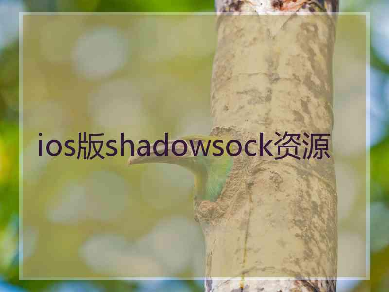 ios版shadowsock资源