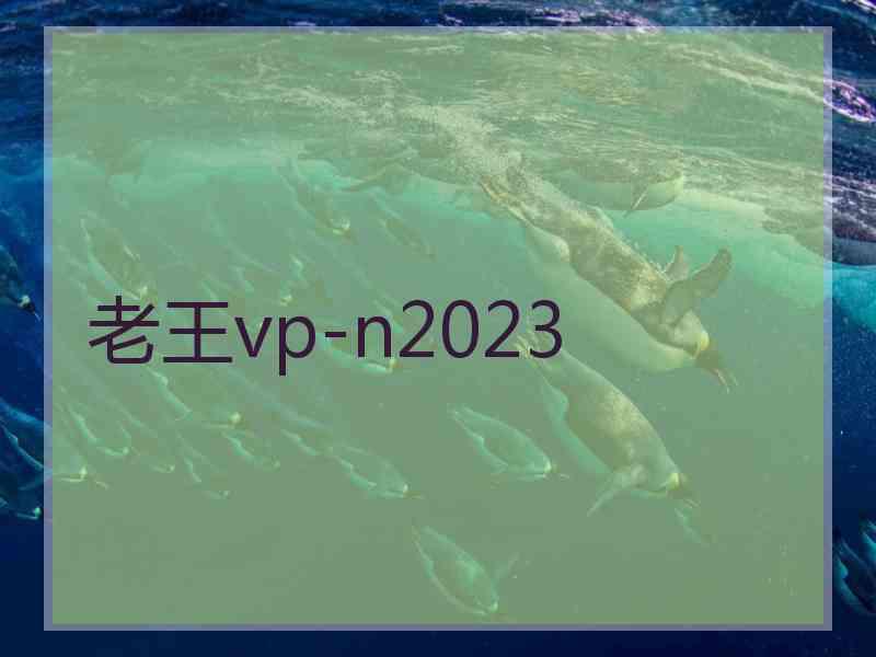 老王vp-n2023