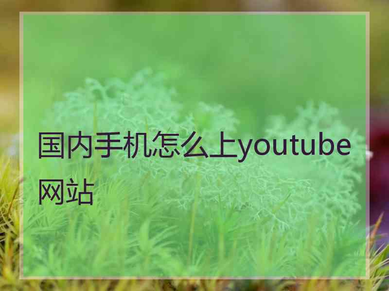 国内手机怎么上youtube网站