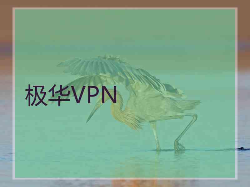 极华VPN