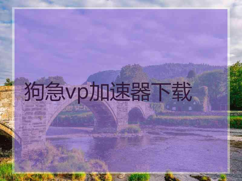 狗急vp加速器下载