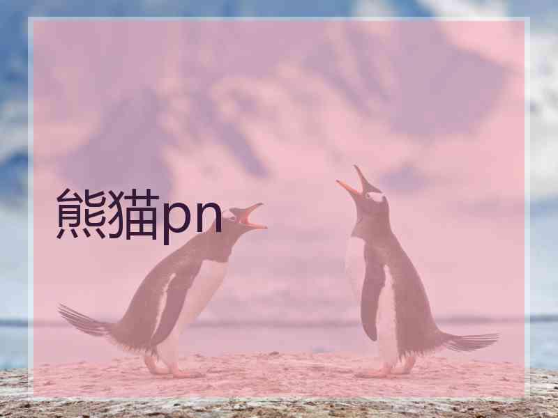 熊猫pn