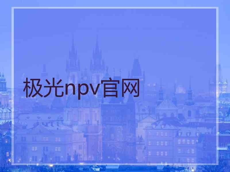 极光npv官网