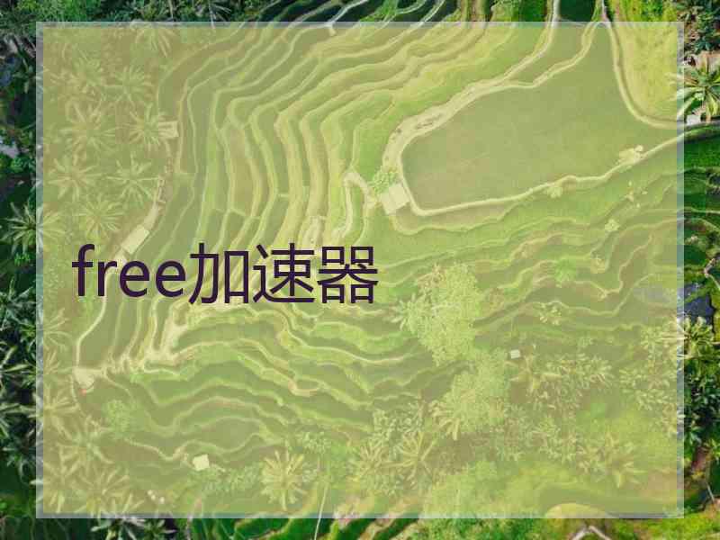 free加速器