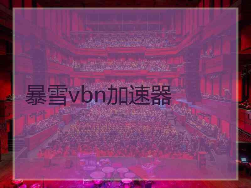 暴雪vbn加速器