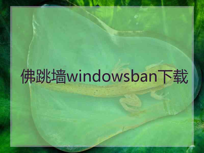 佛跳墙windowsban下载