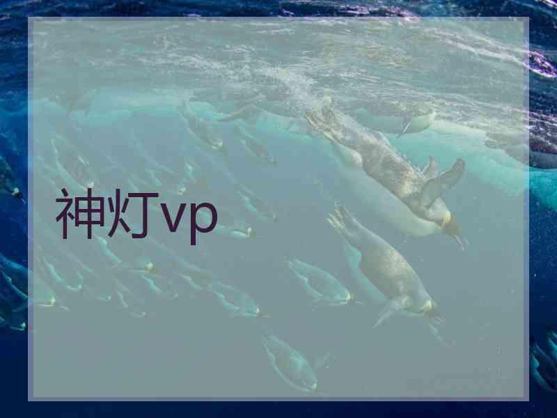 神灯vp