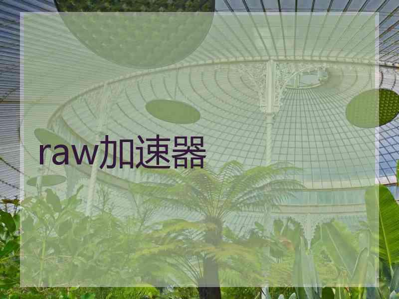 raw加速器