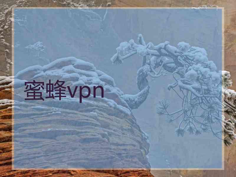 蜜蜂vpn