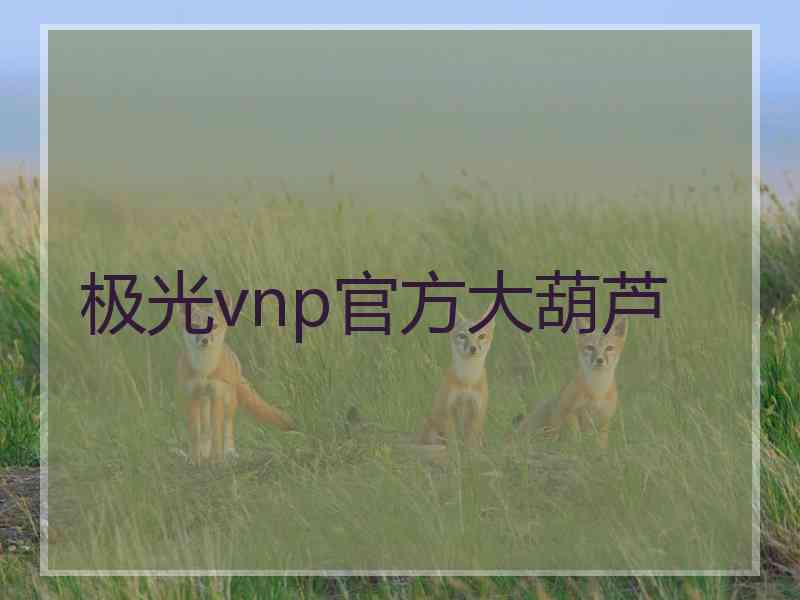 极光vnp官方大葫芦