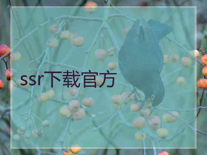 ssr下载官方