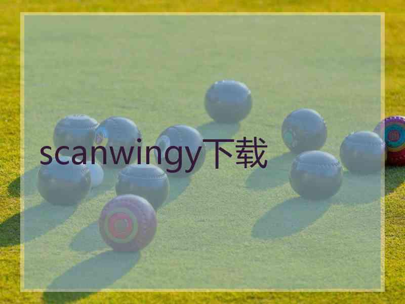 scanwingy下载