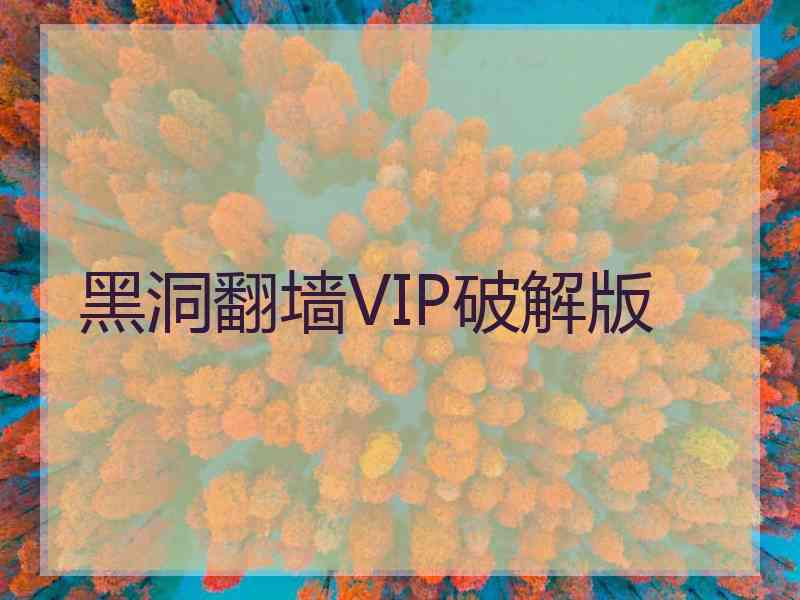 黑洞翻墙VIP破解版