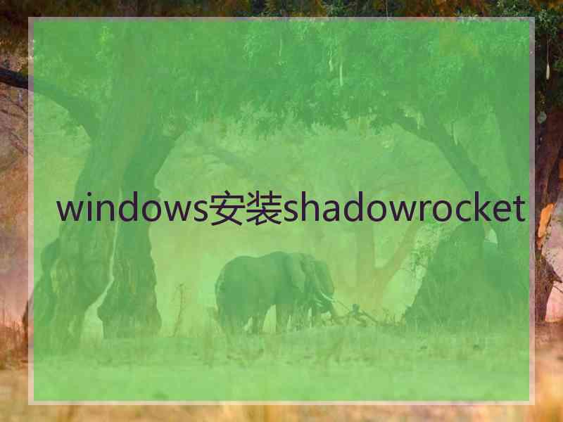 windows安装shadowrocket