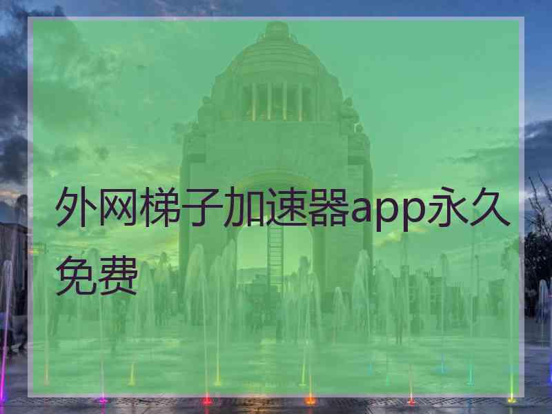 外网梯子加速器app永久免费