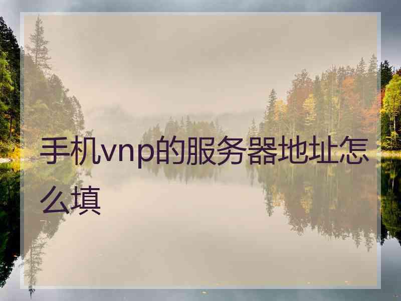 手机vnp的服务器地址怎么填