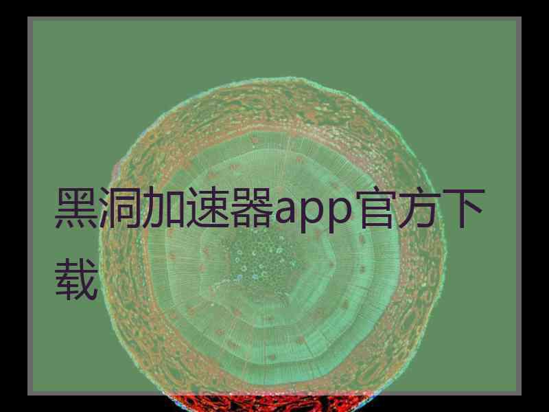 黑洞加速器app官方下载