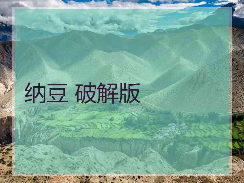 纳豆 破解版