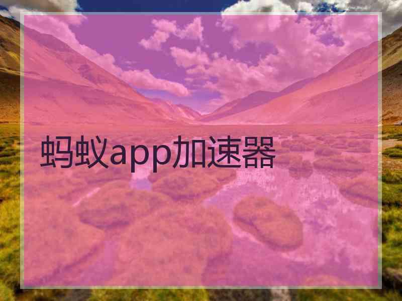 蚂蚁app加速器