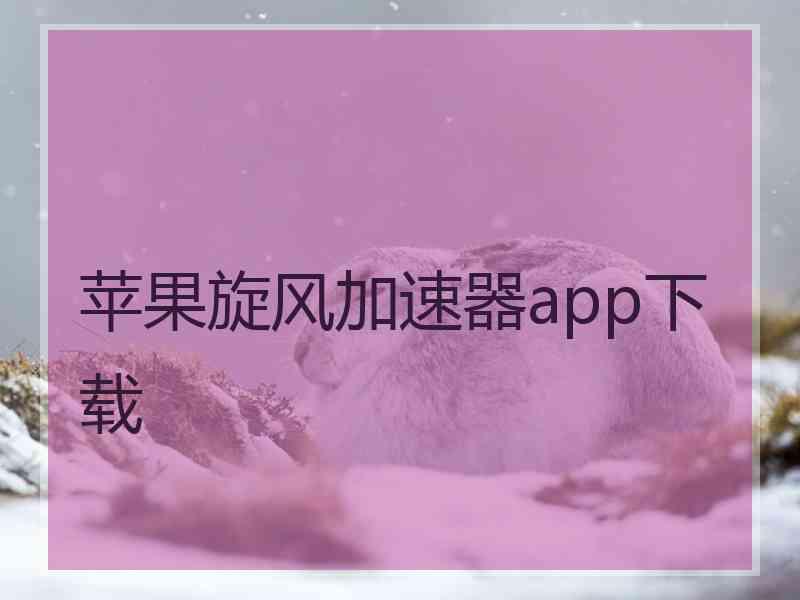 苹果旋风加速器app下载