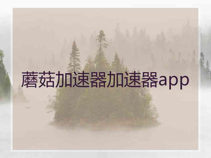 蘑菇加速器加速器app