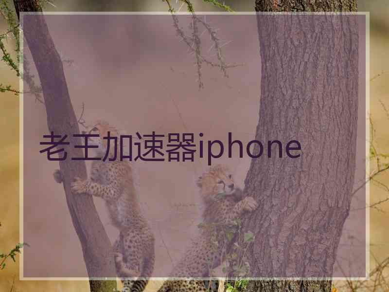 老王加速器iphone