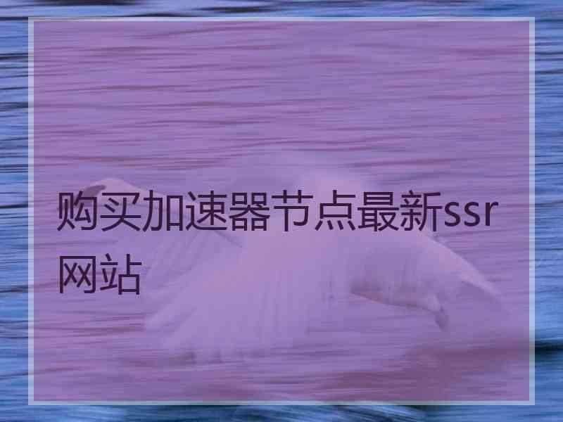 购买加速器节点最新ssr网站