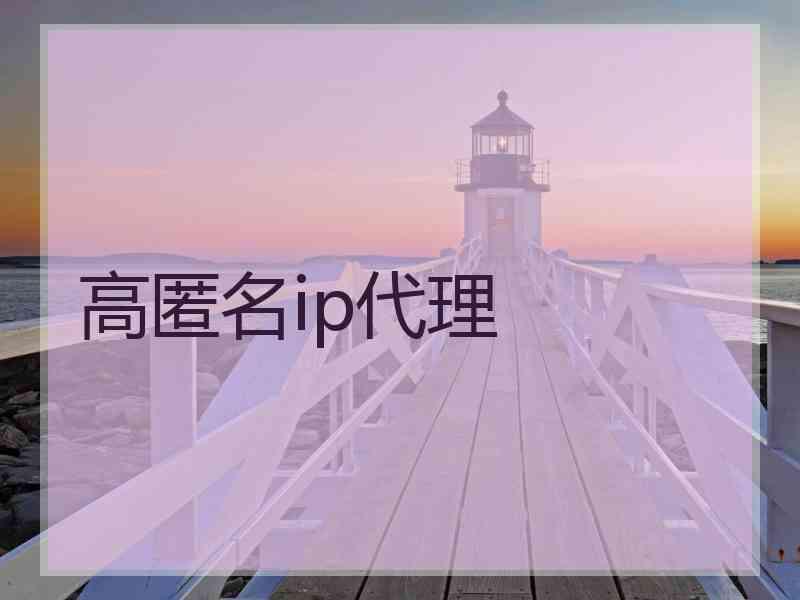 高匿名ip代理