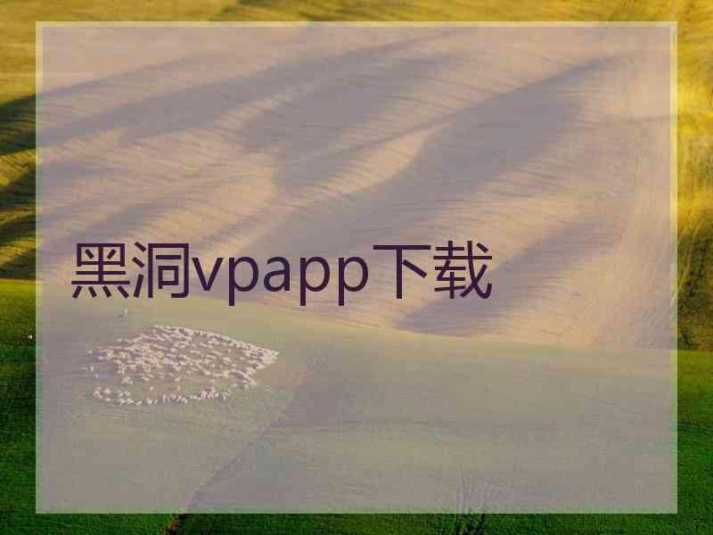 黑洞vpapp下载