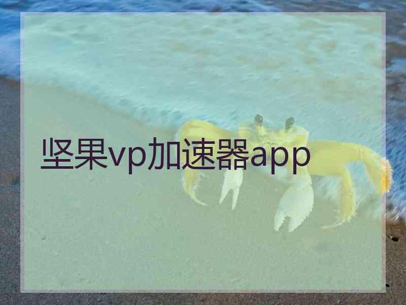 坚果vp加速器app