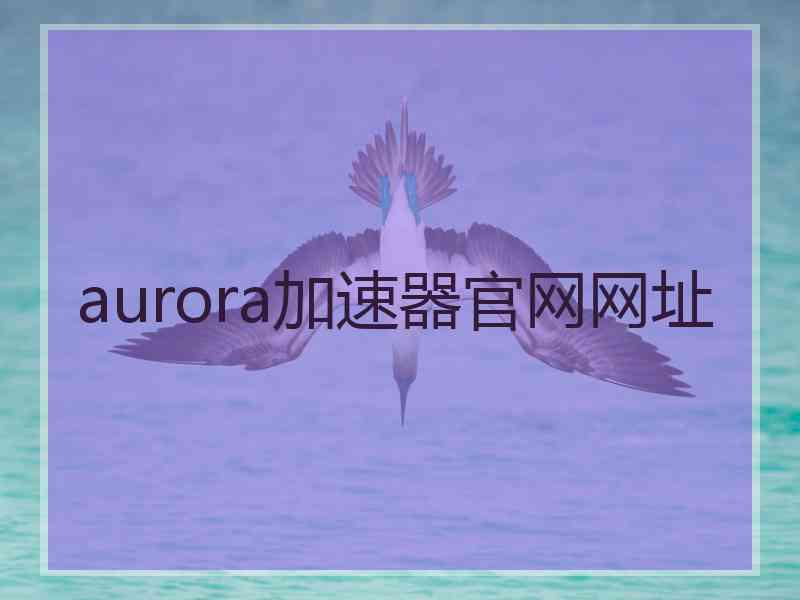 aurora加速器官网网址