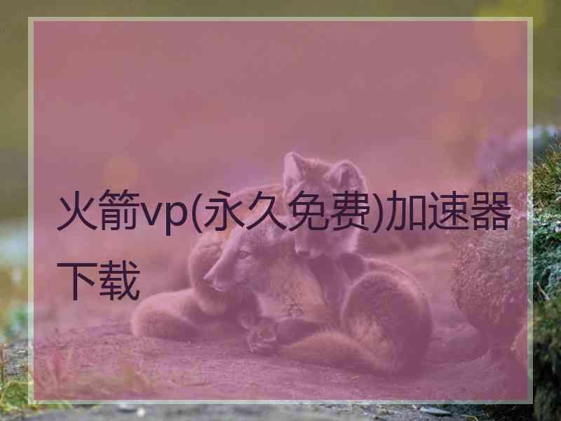 火箭vp(永久免费)加速器下载