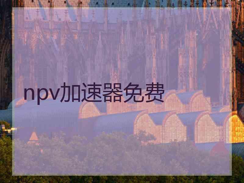 npv加速器免费