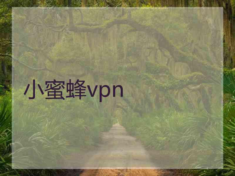 小蜜蜂vpn