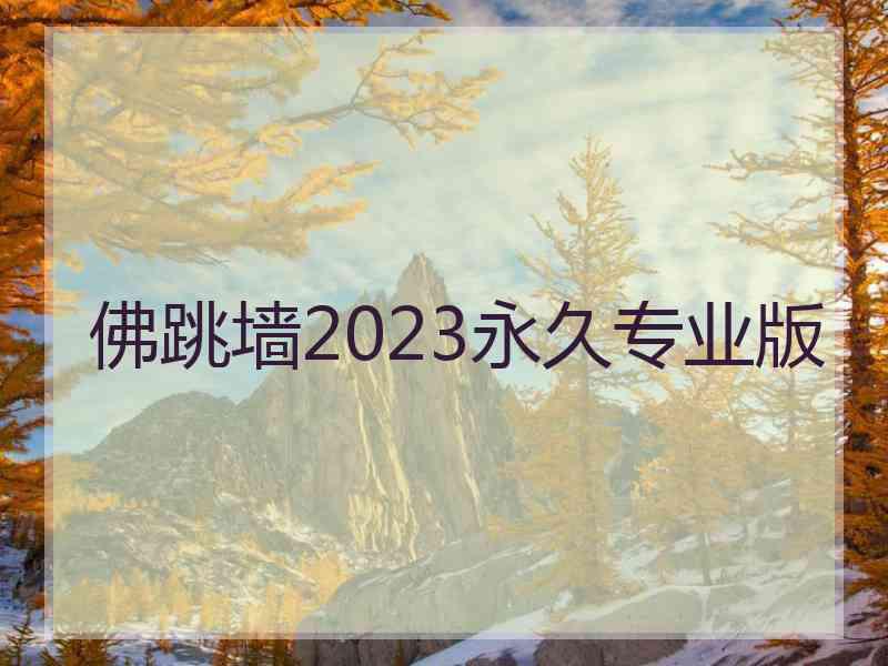 佛跳墙2023永久专业版