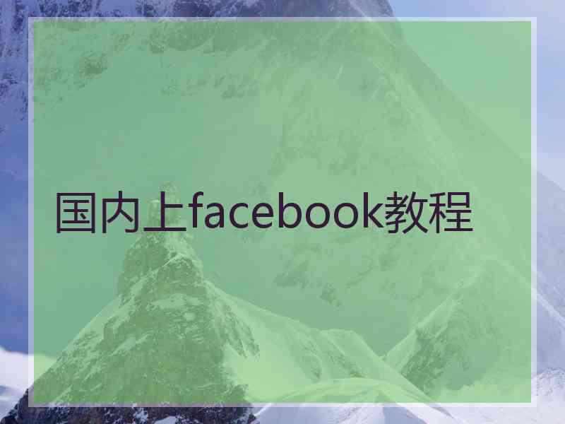 国内上facebook教程