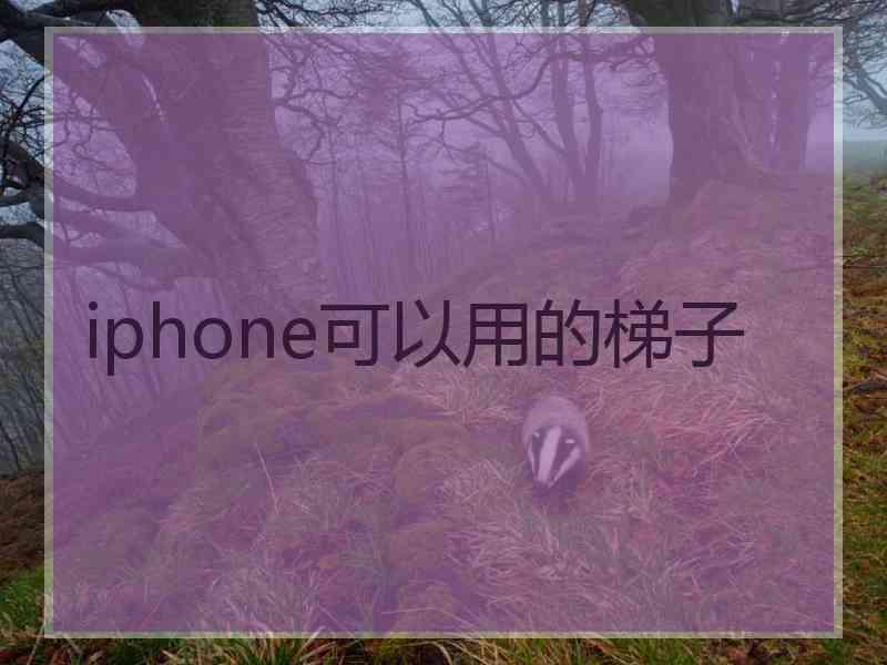 iphone可以用的梯子