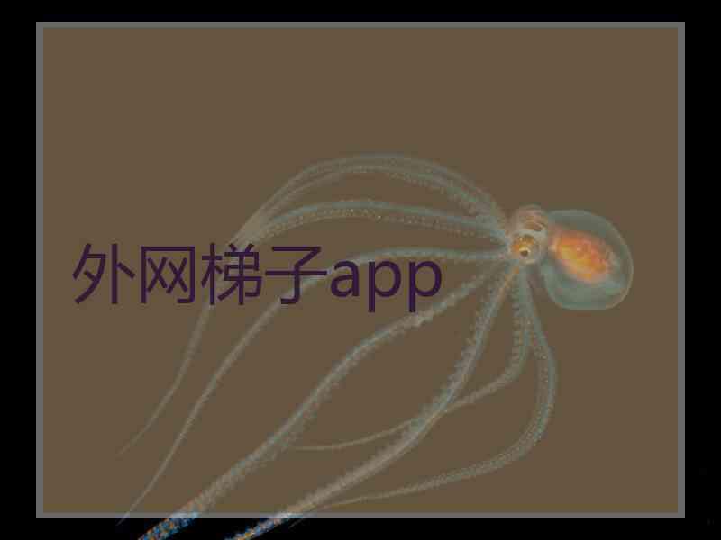 外网梯子app