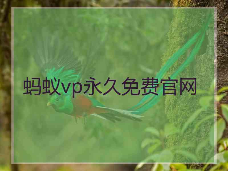 蚂蚁vp永久免费官网