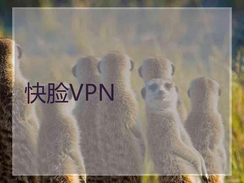 快脸VPN