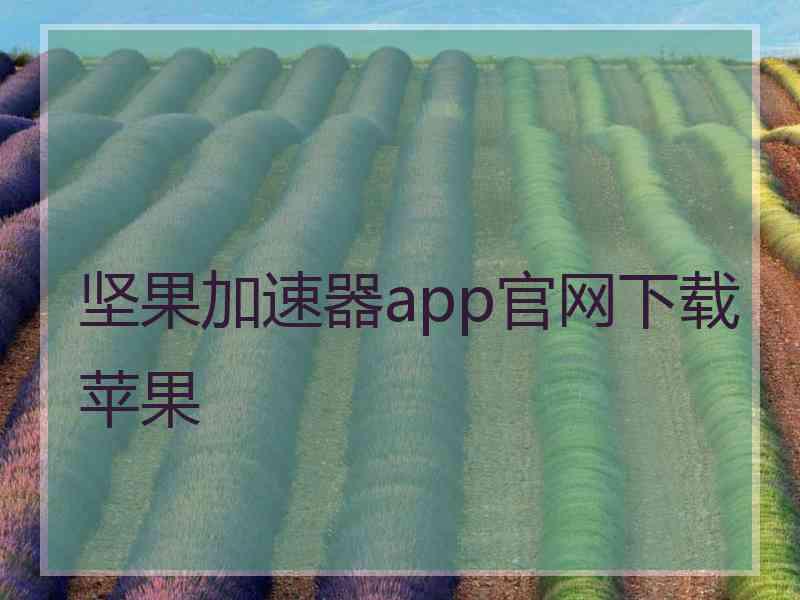 坚果加速器app官网下载苹果