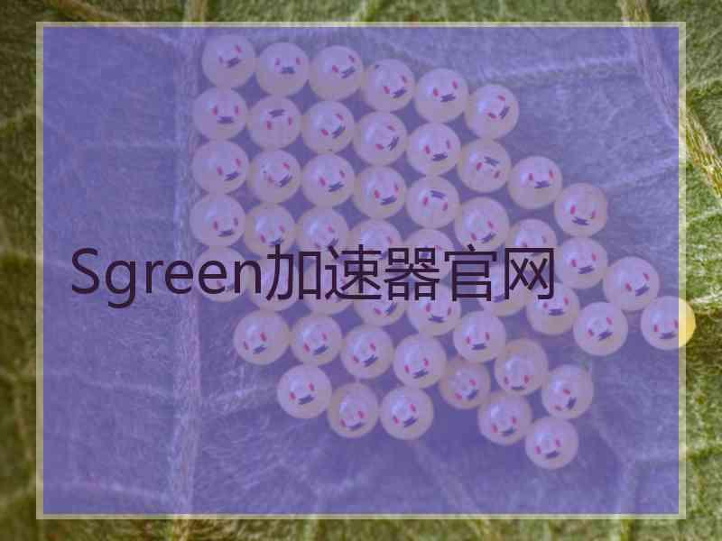 Sgreen加速器官网